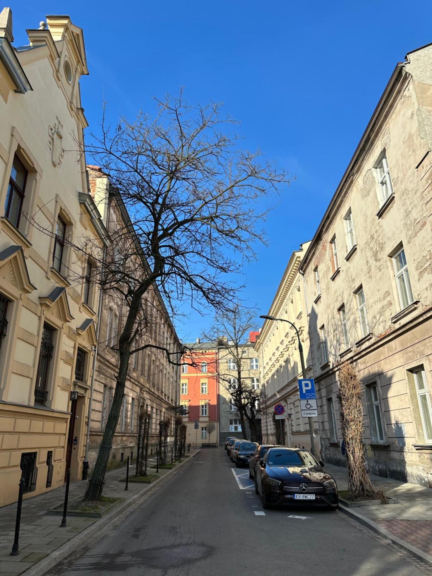 Perfect Place To Stay In Krakow City Center 36M2 W3 Extérieur photo